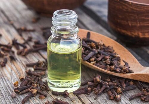 How to Make Clove Oil Spray for Bugs: A Natural Solution