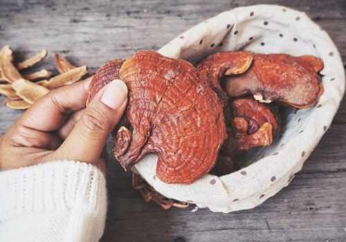 Who Should Avoid Reishi: Exploring the Potential Side Effects and Precautions