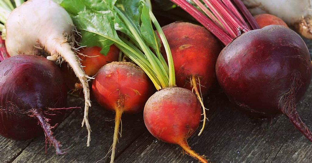 What is the Best Month to Plant Beetroot?