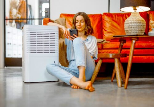 Do Dehumidifiers Use a Lot of Electricity? Unveiling the Energy-Efficient Solutions