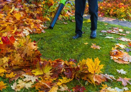 Is Your Lawn Ready for the Electric Leaf Blower Revolution?