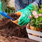 How to Make Garden Soil